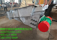 這款振動(dòng)給料機(jī)電機(jī)雙保險(xiǎn)嗎？